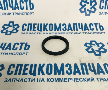 Прокладка (кольцо) термостата на Пежо Боксер - BSG30116079