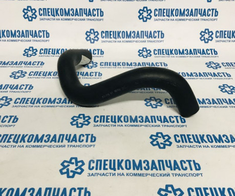 Патрубок радиатора нижний (А2) на Хендай Портер 2 - CHH070