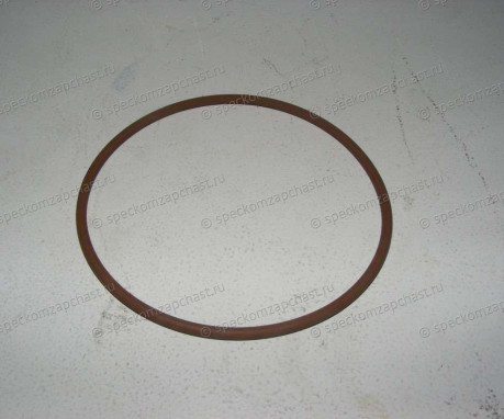Прокладка помпы (кольцо) большое на Фиат Дукато - 17291281
