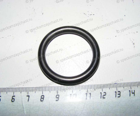 Прокладка теплообменника (малое уплотнительное кольцо) на Фиат Дукато - 504065448