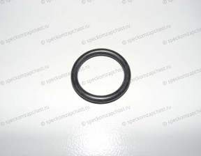 Уплотнительное кольцо фланца КПП 43287C на Киа Бонго - K9954102401