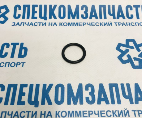 Уплотнительное кольцо фланца КПП 43287C на Киа Бонго - K9954102401