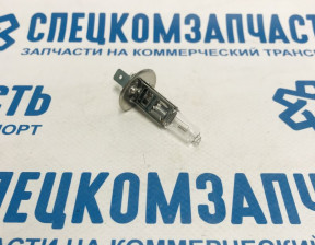 Лампа фары дальнего света и ПТФ (H1 12V 55W) на Фиат Дукато - MLH1LL