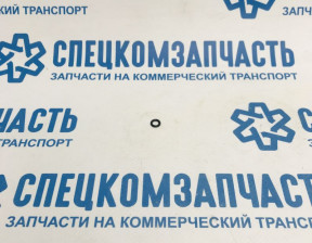 Кольцо уплотнительное штока вакуумного насоса на Пежо Боксер - RRPC590