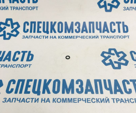 Кольцо уплотнительное штока вакуумного насоса на Пежо Боксер - RRPC590